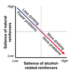 Differential brain responses to alcohol-related and natural rewards are associated with alcohol use and problems: Evidence for reward dysregulation