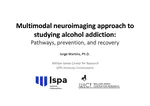 Multimodal neuroimaging approach to studying alcohol addiction: Pathways, prevention, and recovery